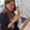 Bilder 18.07.2017