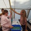 Bilder 18.07.2017