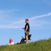 Bilder 19.07.2017 Deich