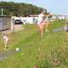 Bilder 19.07.2017 Deich
