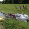 Bilder 19.07.2017 Deich