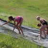 Bilder 19.07.2017 Deich