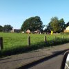 Bilder 19.07.2017 Meuterei