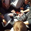 Bilder 19.07.2017 Meuterei