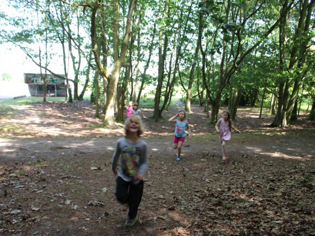 Bilder 19.07.2017 Thementag