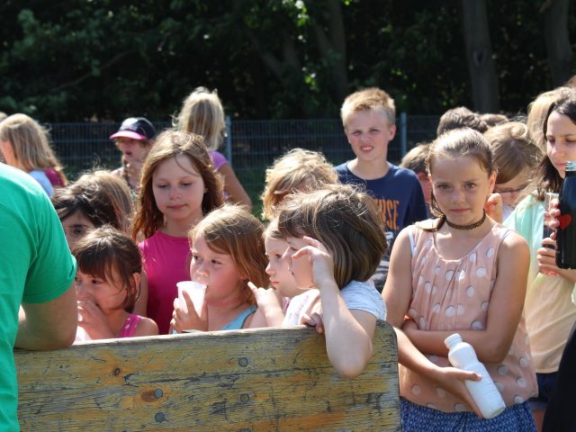 Bilder 19.07.2017 Thementag