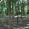 Bilder 19.07.2017 Thementag