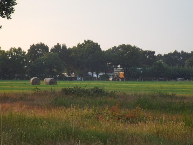 Bilder 20.07.2017 Nachtlauf
