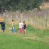 Bilder 20.07.2017 Nachtlauf