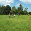 Bilder 21.07.2017