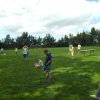 Bilder 21.07.2017