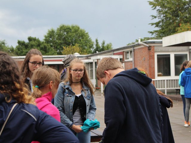 Bilder 23.07.2017