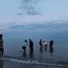 Bilder 23.07.2017