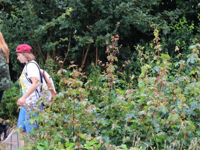 Bilder 23.07.2017 Flashmob