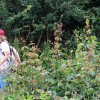 Bilder 23.07.2017 Flashmob