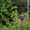 Bilder 23.07.2017 Flashmob