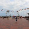 Bilder 23.07.2017 Flashmob