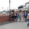 Bilder 23.07.2017 Flashmob