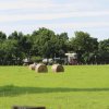 Bilder 23.07.2017 Flashmob