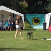 Bilder 24.07.2017