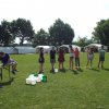 Bilder 24.07.2017