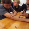 Bilder 25.07.2017