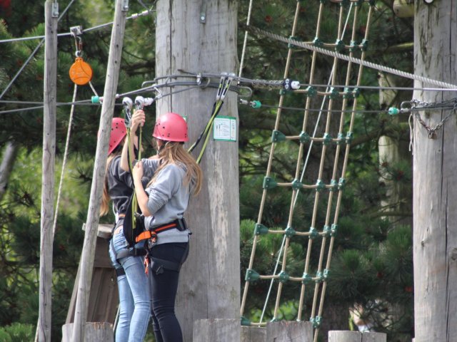 Bilder 26.07.2017