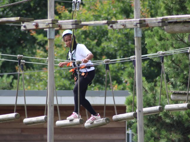 Bilder 26.07.2017