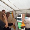 Bilder 26.07.2017