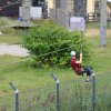 Bilder 26.07.2017