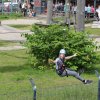 Bilder 26.07.2017