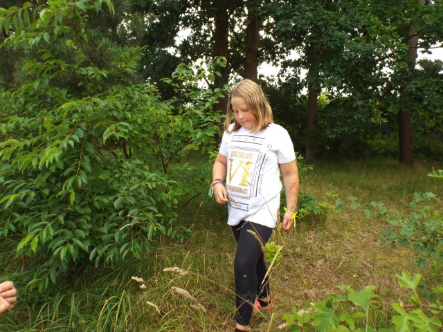 Bilder 27.07.2017