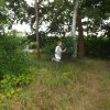 Bilder 27.07.2017