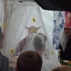 Bilder 27.07.2017