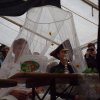 Bilder 27.07.2017