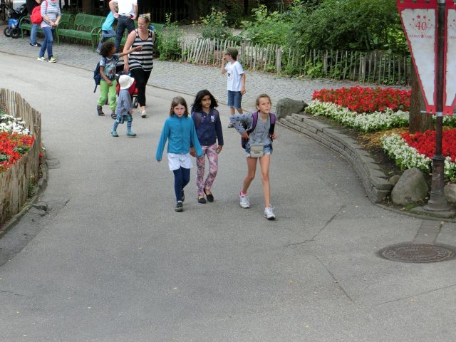 Bilder 28.07.2017