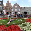 Bilder 28.07.2017