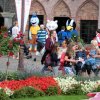 Bilder 28.07.2017