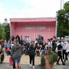 Bilder 28.07.2017