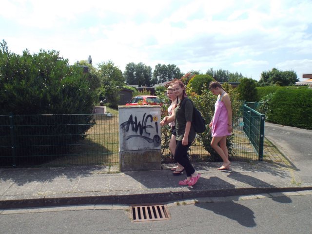 Bilder 19.07.2018