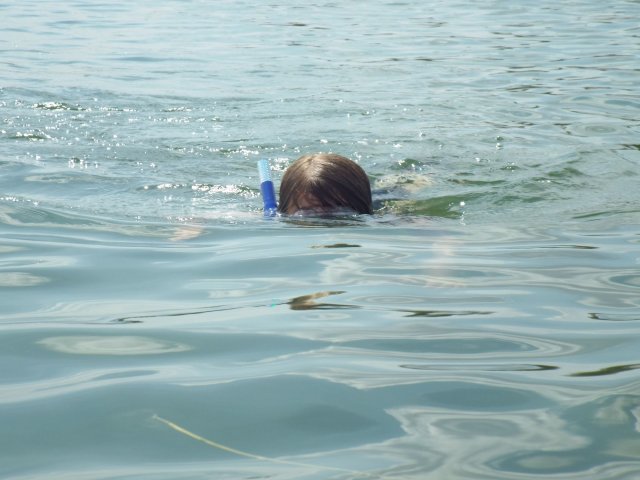 Bilder 19.07.2018