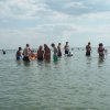 Bilder 19.07.2018