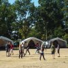 Bilder 20.07.2018
