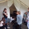 Bilder 29.07.2017