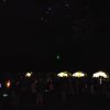 Bilder 29.07.2017