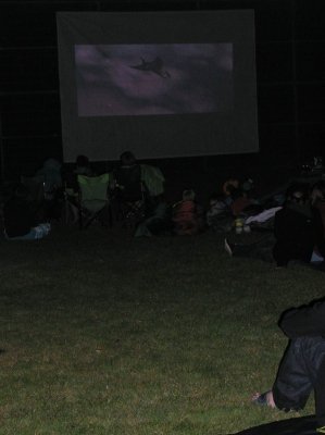 Bilder 15.08.2012