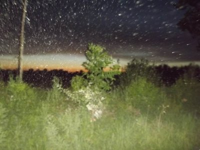 Bilder 25.07.2013