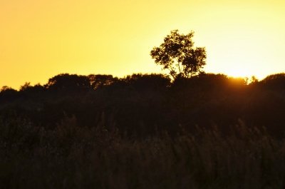 Bilder 28.08.2012