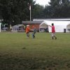 Bilder 28.08.2012