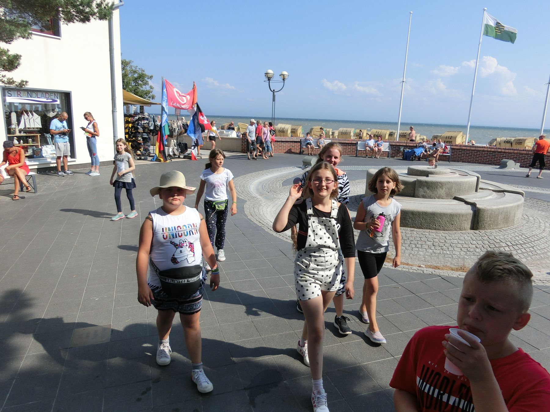 20190728198.JPG
